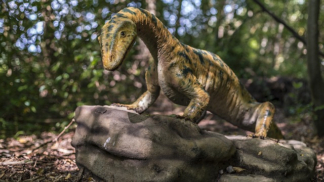 迪诺 恐龙 爬虫 - 上的免费照片