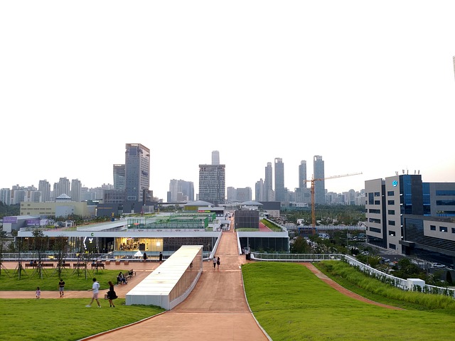 新松岛的城市 城市 建筑 - 上的免费照片