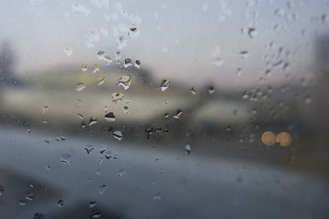 雨滴 下雨 雨 - 上的免费照片