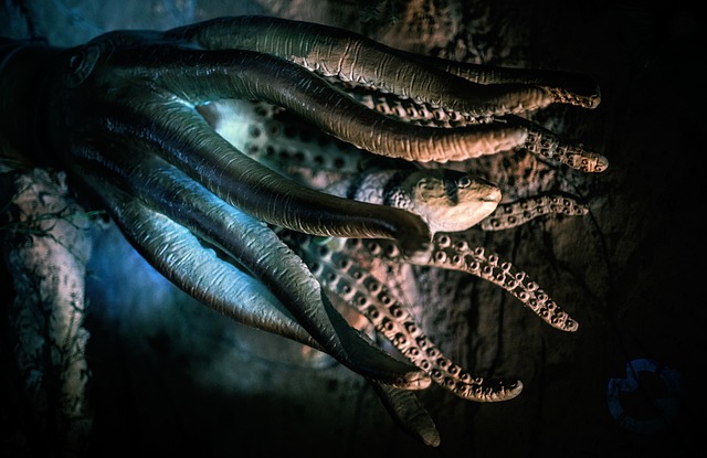 章鱼 鱼 深海 - 上的免费照片