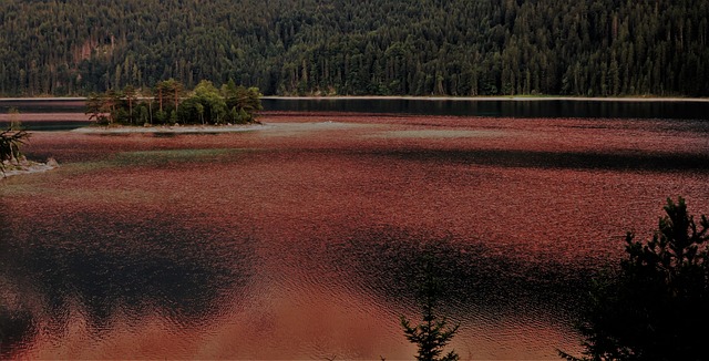 Eibsee 艾比塞岛 余辉 - 上的免费照片