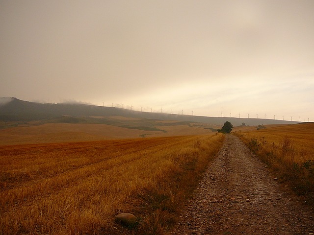 Camino 西班牙 - 上的免费照片