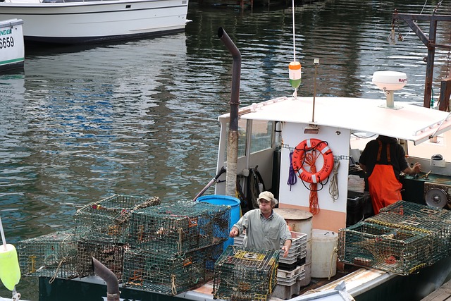 龙虾陷阱 龙虾捕捞船 缅因州波特兰 - 上的免费照片