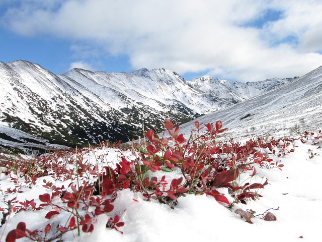 山 秋季 第一场雪 - 上的免费照片