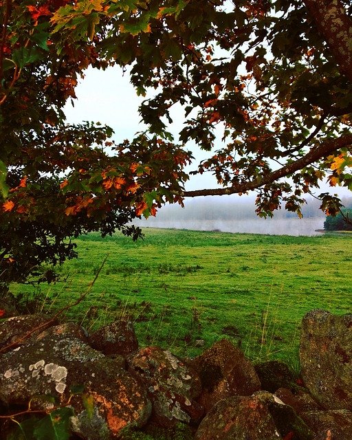 颜色 多雾路段 光 - 上的免费照片