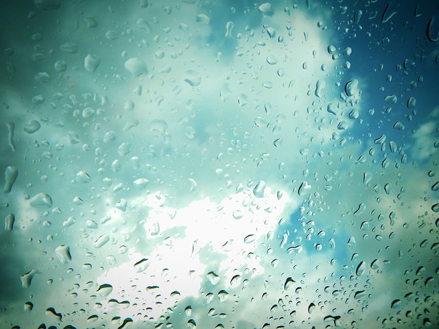 雨 滴 细雨 - 上的免费照片