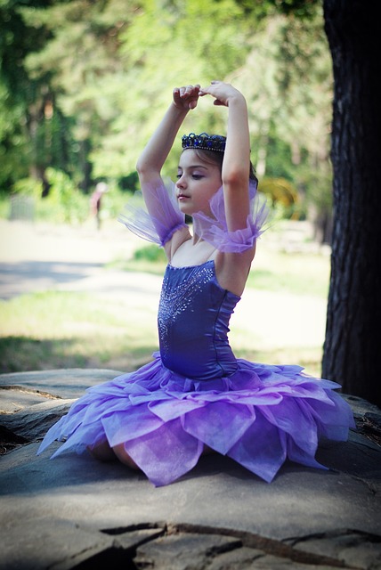 芭蕾舞 芭蕾舞女演员 芭蕾的芭蕾舞裙 - 上的免费照片