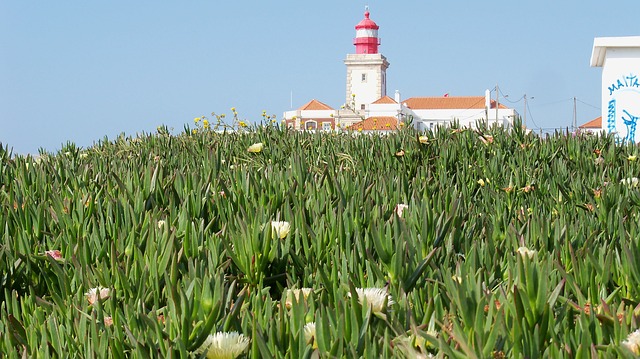 灯塔 Cabo De Roca - 上的免费照片