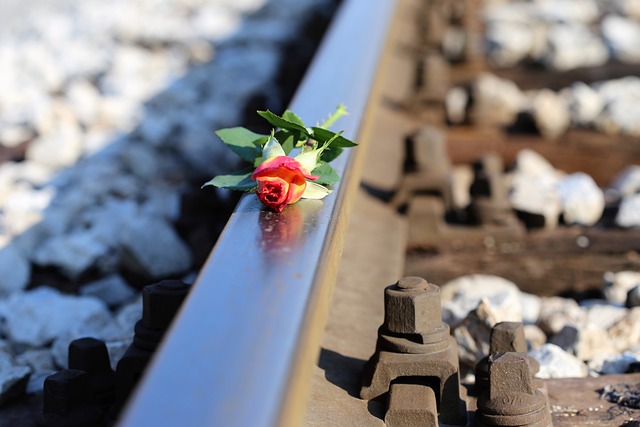 停止青少年自杀的 黄色玫瑰上的火车 停止学生自杀 - 上的免费照片