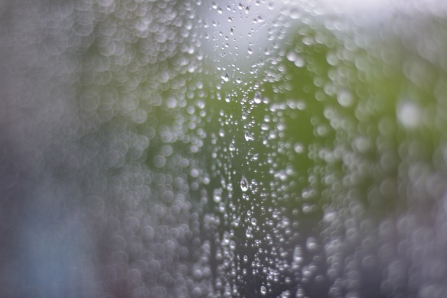 水滴 雨 瀑布 - 上的免费照片