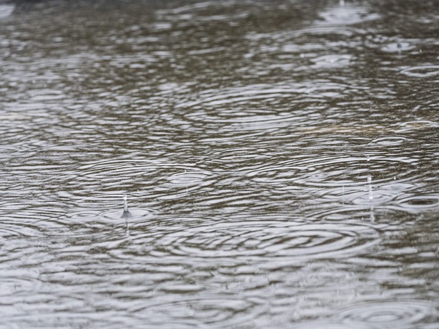 雨 雷雨 雨滴 - 上的免费照片