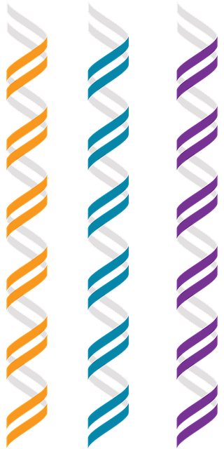 脱氧核糖核酸 B-Dna 遗传学 - 免费矢量图形