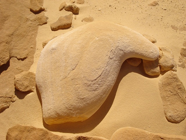 西奈半岛 沙漠 埃及 - 上的免费照片