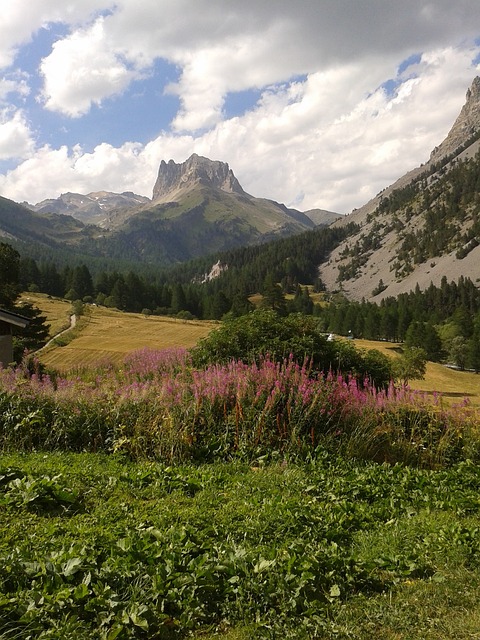 阿尔卑斯山 狭窄的山谷 泰 - 上的免费照片
