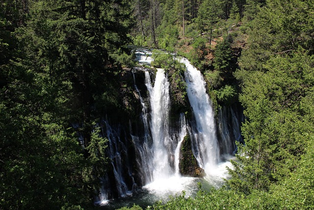 伯尼瀑布 瀑布 树木 - 上的免费照片