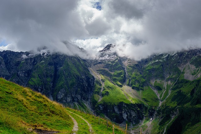瑞士 Diemtigtal 自然 - 上的免费照片