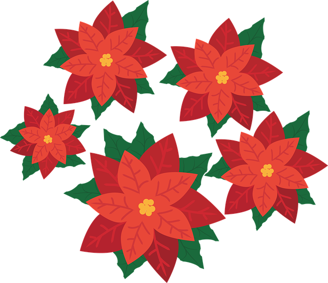 圣诞星 花 植物 - 免费矢量图形