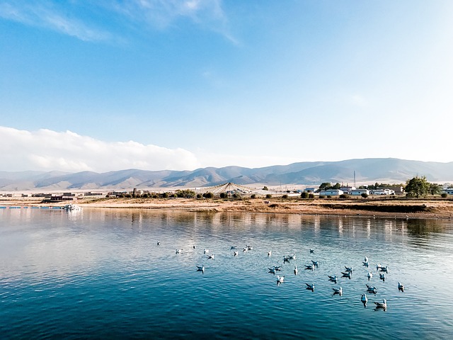 青海湖 湖面 山川 - 上的免费照片