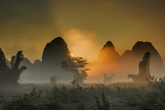 景观 早晨 雾 - 上的免费照片