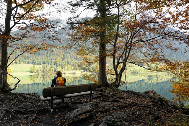 Hintersteinersee湖 湖 茨比厄尔 - 上的免费照片