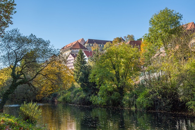 图宾根 城堡Hohentübingen 颈前 - 上的免费照片