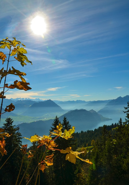 阿尔卑斯山 Rigi 普拉提 - 上的免费照片