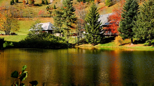 黑森林 Dobelsee 湖 - 上的免费照片