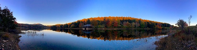 日落 湖 树木 - 上的免费照片