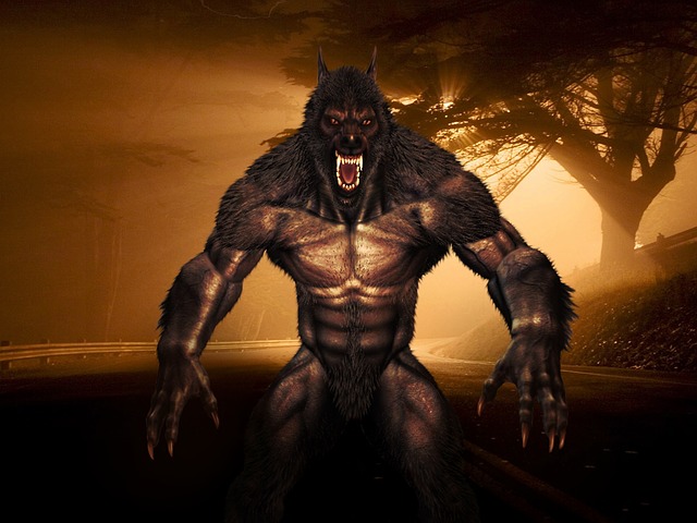 Loup-夹肉 Adalwolf 狼人 - 上的免费图片