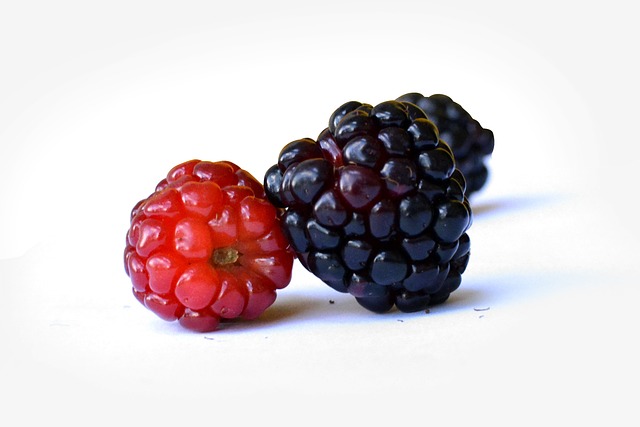 黑莓 水果 野生水果 - 上的免费照片