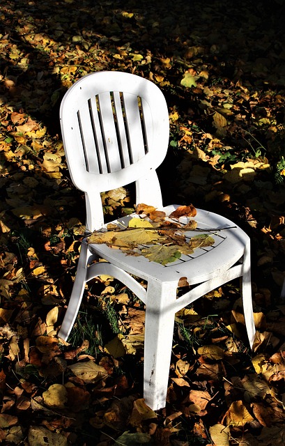 秋季 花园 椅子 - 上的免费照片