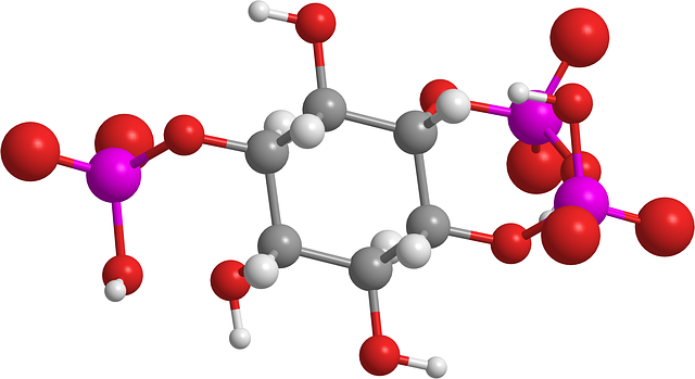 肌苷三磷酸 有机化学 分子 - 上的免费图片