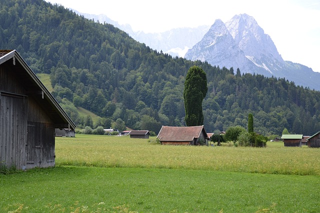 阿尔高 Garmisch 阿尔卑斯山 - 上的免费照片