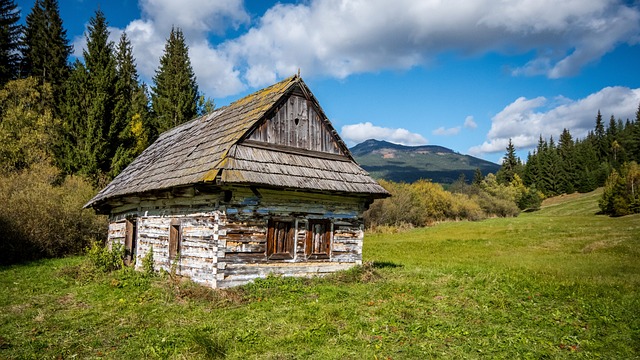 小屋 老的 木制的 - 上的免费照片