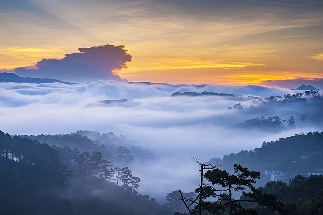 海雾 景观 早晨 - 上的免费照片