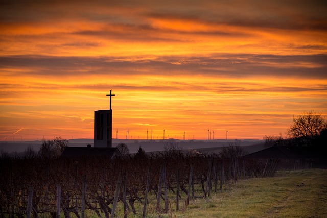 Rheinhessen 日出 哈克家 - 上的免费照片