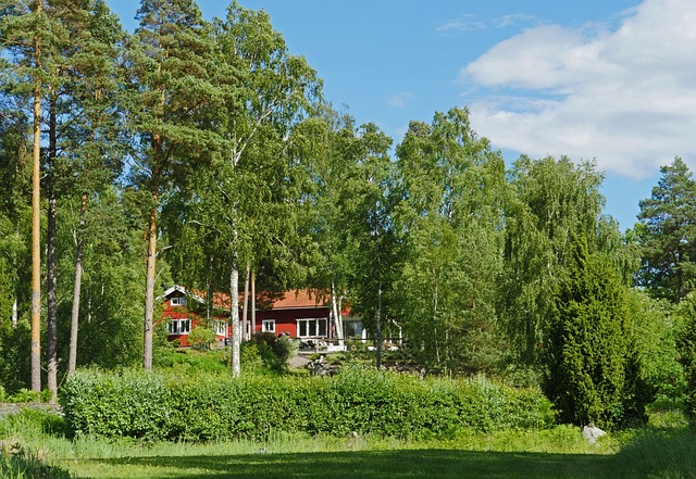 瑞典之家 渡假村 夏天的房子 - 上的免费照片