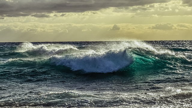 海浪 壮观 砸 - 上的免费照片