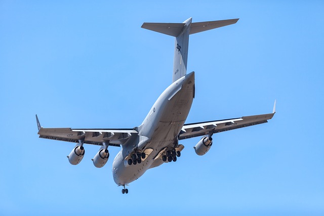 飞机 C-17A环球霸王Iii 澳大利亚皇家空军 - 上的免费照片