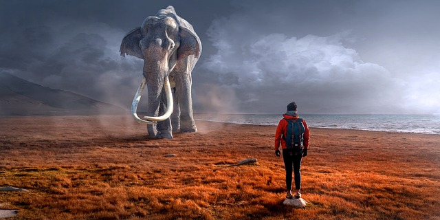幻想 大象 男人 - 上的免费照片