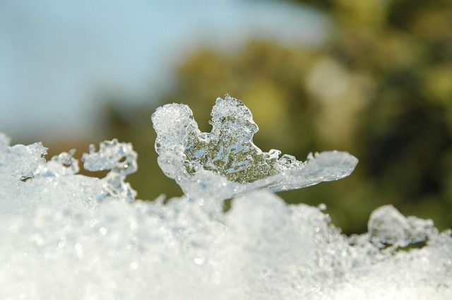 雪 冬天 雪景 - 上的免费照片