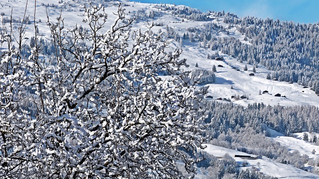 瑞士 阿尔卑斯山 山 - 上的免费照片