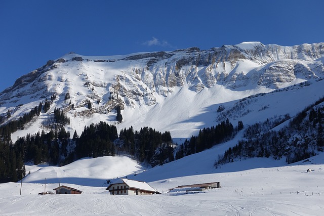 滑雪场 Brienzer Rothorn 瑞士 - 上的免费照片