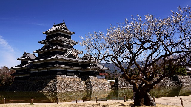 松本 城堡 长野县 - 上的免费照片