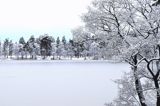 冬天 雪 寒冷的 - 上的免费照片