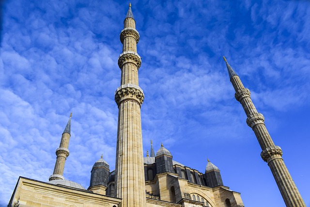 塞利米耶清真寺 建筑学 尖塔 - 上的免费照片