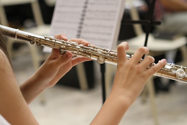 音乐 爵士乐 长笛 - 上的免费照片