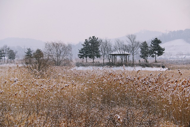 自然 风景 户外 - 上的免费照片