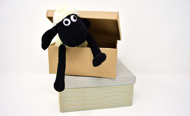 羊 纸盒 盒子 - 上的免费照片