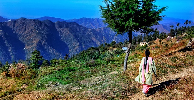 西姆拉 喜马拉雅 山 - 上的免费照片
